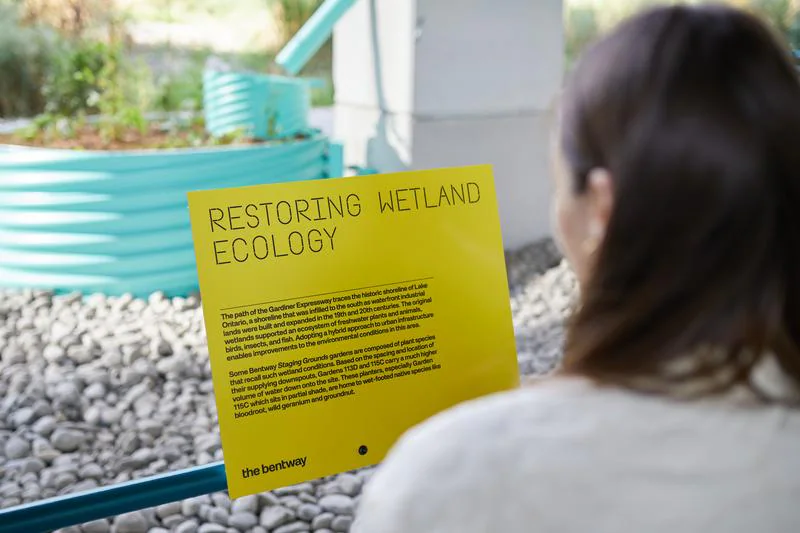 Staging Grounds interpretive signage and planting infrastructure