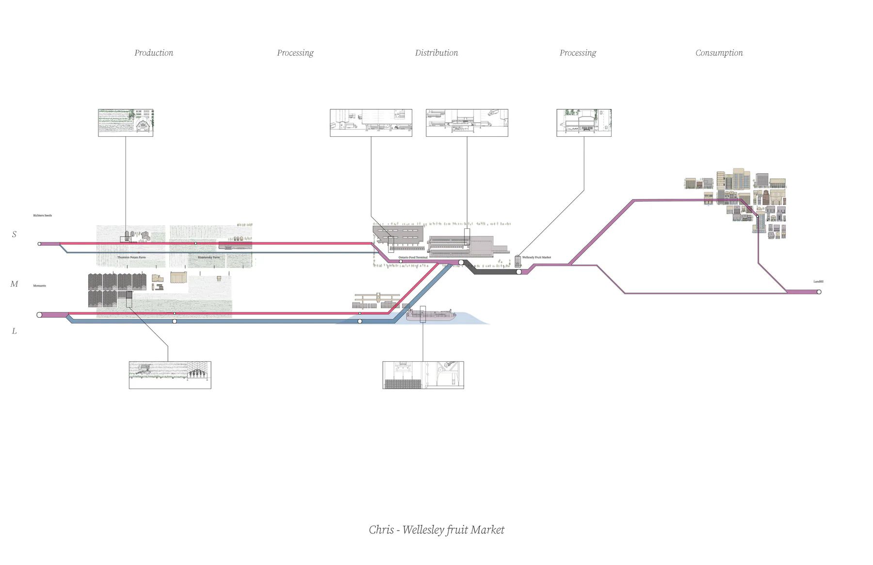Chris - Wellesley Fruit Market's supply chain diagram