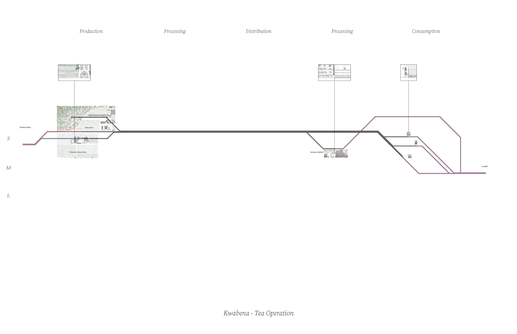 Kwabena - Tea Operation's supply chain diagram