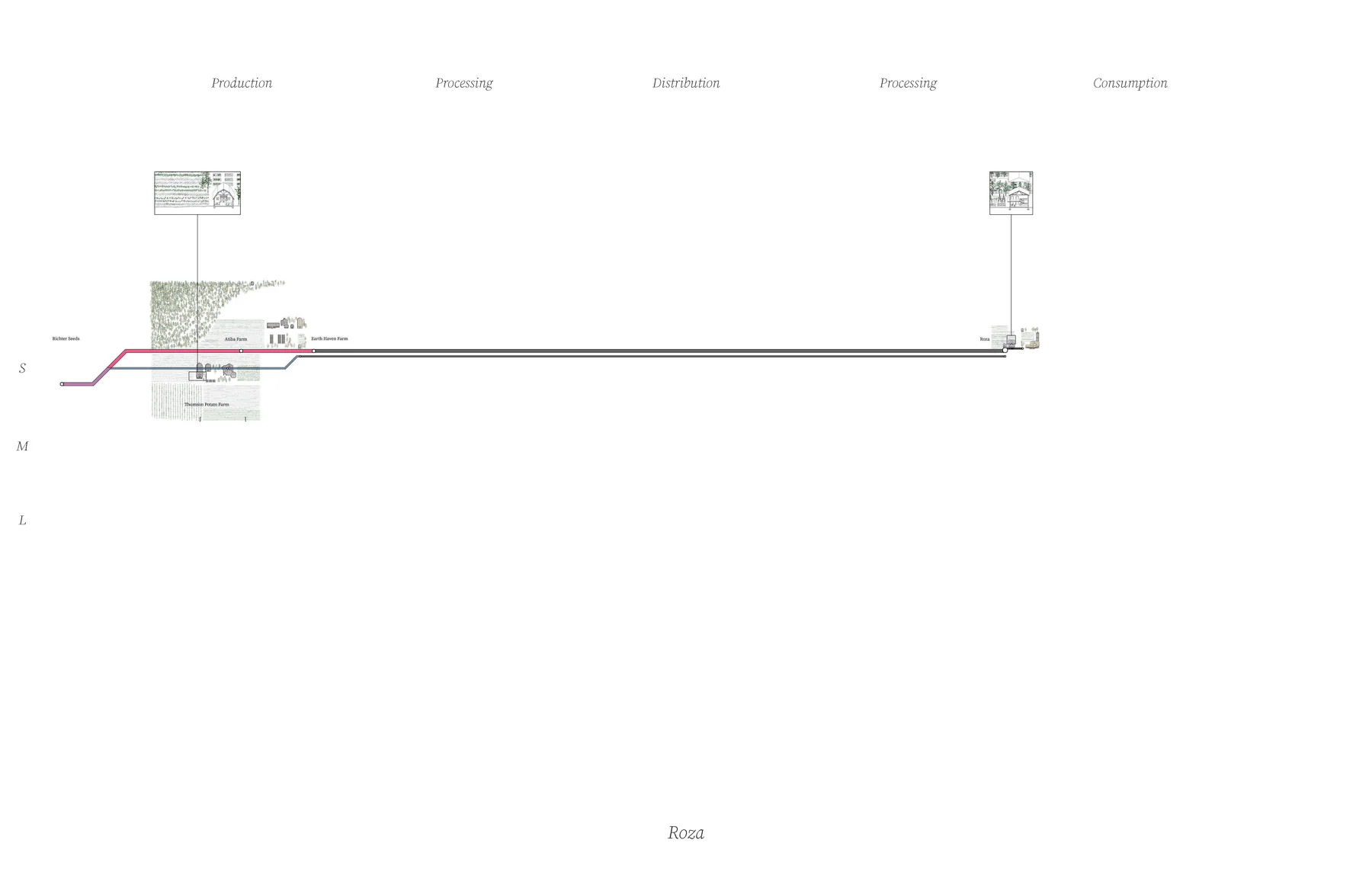 Roza's supply chain diagram